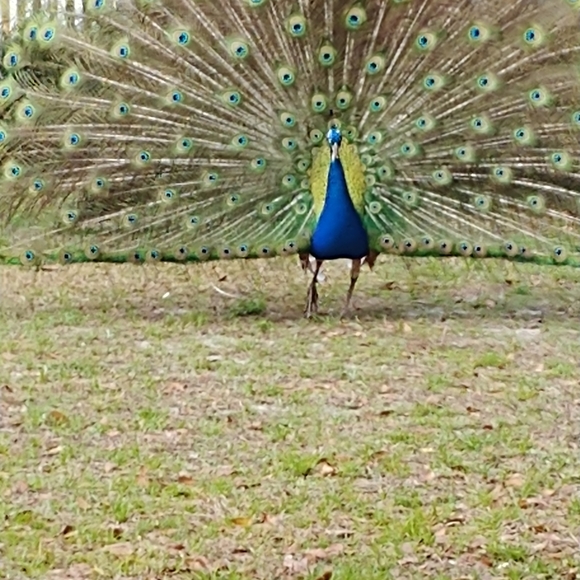 "Meet your Posher" - Picture 7 of 7